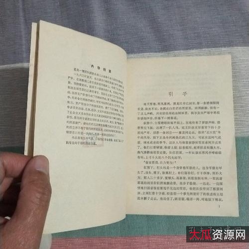 大冰作品集txt，需要的速存，拿走留个言，拒绝做伸手党