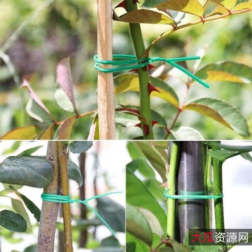 360驱动大师_v2.0.0.1680_纯净版绿色单文件,无捆绑,无广告,随开随用。