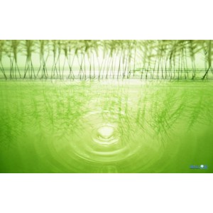 迅雷绿色无广告