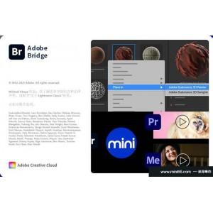 Adobe+BR全版本