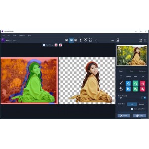 最好的AI智能蒙版扣图软件(Windows)