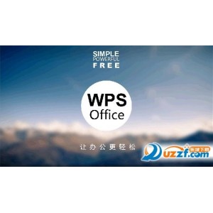WPS专业版