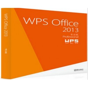 WPS专业版