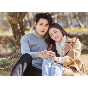 爱情热播徐正溪、周洁琼主演的《影帝的公主》，35集完整视频原画，阿里云盘下载、极速在线播放！