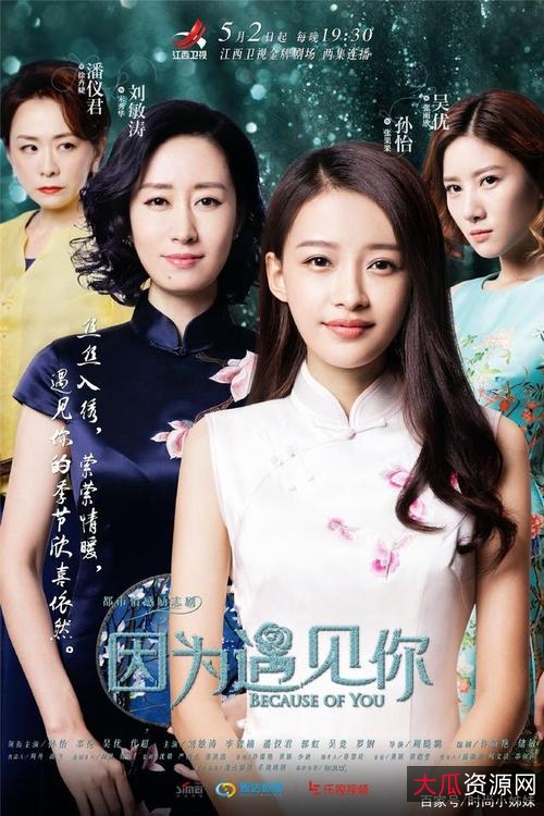 50T珍藏：海量国内外热播电视剧大合集，满足不同观众口味！