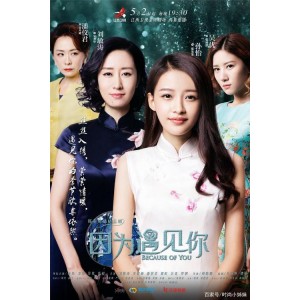 50T珍藏：海量国内外热播电视剧大合集，满足不同观众口味！