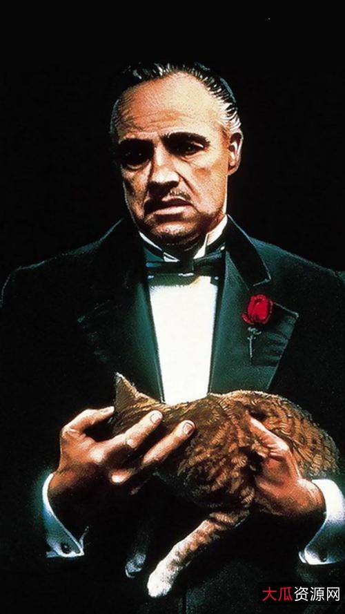 经典之作:《教父三部曲4K》,4K画质+多种获取方式+倍速播放,让观影更轻松自如