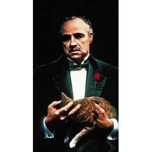 经典之作：《教父三部曲4K》，4K画质+多种获取方式+倍速播放，让观影更轻松自如