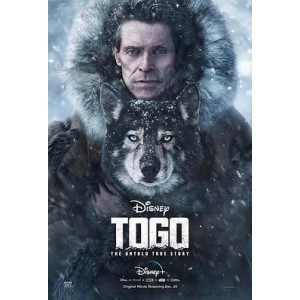 《2022年：逆冰之行，极地求生，寻找海盗最后的皇家宝藏》