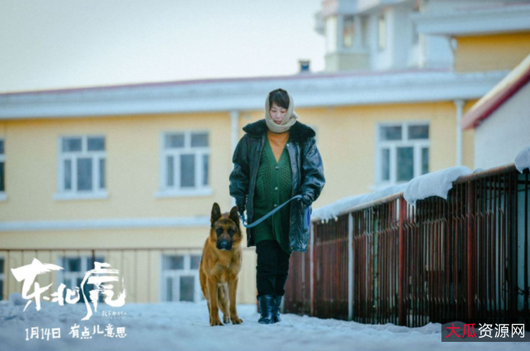 《东北虎》HD4K内嵌中字:马丽、章宇主演,极致画质、倍速播放,阿里云盘上提供完整视频资源!