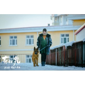 《东北虎》HD4K内嵌中字：马丽、章宇主演，极致画质、倍速播放，阿里云盘上提供完整视频资源！