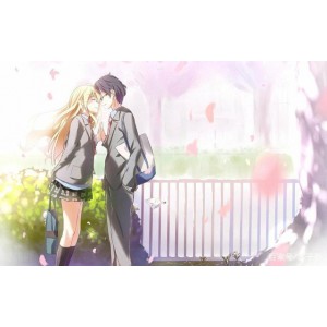 1080PBD《四月是你的谎言》：极致画质，深度体验！