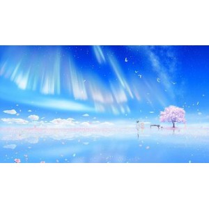 1080PBD《四月是你的谎言》：极致画质，深度体验！