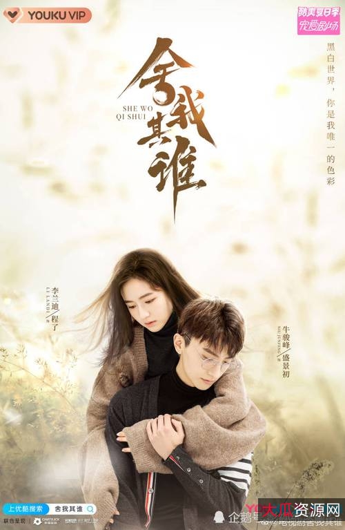 《超Y[1080P]：完结经典之旅》