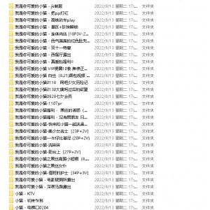 网红视频资源：远古绝版精品资源-我是你可爱的小猫全系列合集，109三人游+184V共8.41G，百度云绝版资源，杜撰姓名&小猫的搞笑视频，家庭温馨的欢乐氛围。