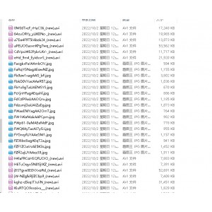 《梅莉：9位超人气TS美妖的热情和勇敢》