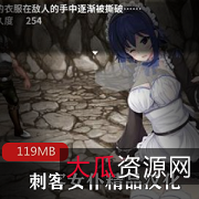 限时特惠安卓RPG蕾姆手游-刺客女仆，CG圣光遮挡，仅119MB！