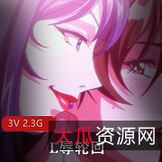 3V-2.3G动漫《神探妻子》-岛国神秘案件调查香港翡翠台