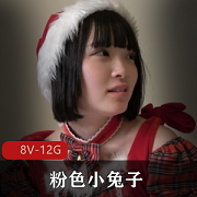 粉色小兔子无圣光岛国出品8V-12G，颜值进入喷S特写下载