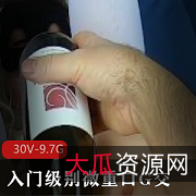 《MsFine入门级别微口味G交-洋马小扩大30V合集9.7G》