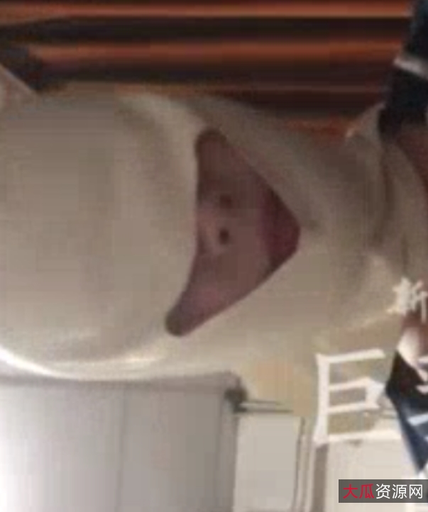 “新世界大门:走遍中国大罩杯列传全集合集”