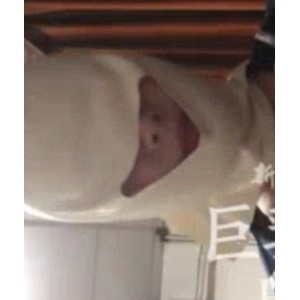 “新世界大门：走遍中国大罩杯列传全集合集”