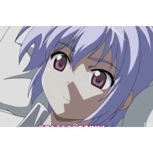 魔界天使吉普莉露：神秘力量之旅，10部正片+3季番外