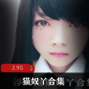 猫奴丫资源合集：口味身材美腿，2.9G视频冲动公交展示