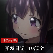 阿黑颜神作开发日记10部全系列汉化合集，千鹤小千小真女主剧情道具，总大小10V2.8G