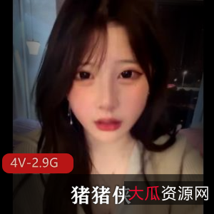 猪猪侠惊喜直播：男主角缺席，车灯闪耀[4V2.9G]