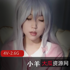 重磅自拍小羊皮舞蹈合集4V2.6G，带电棍道具秀