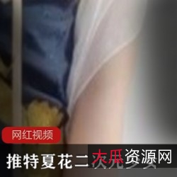 500MB推特夏花二次元视频1部太诱人