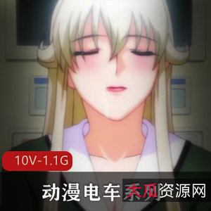 动漫电车系列终极典藏10V合集1.1G经典无修版