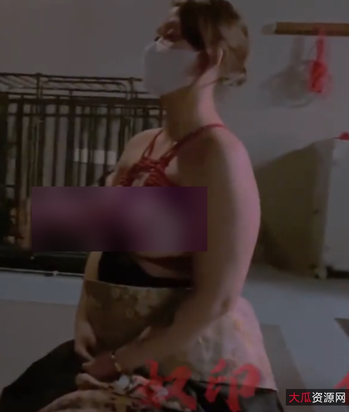 奴印文化反差指教合集51部1.2G绝对珍藏