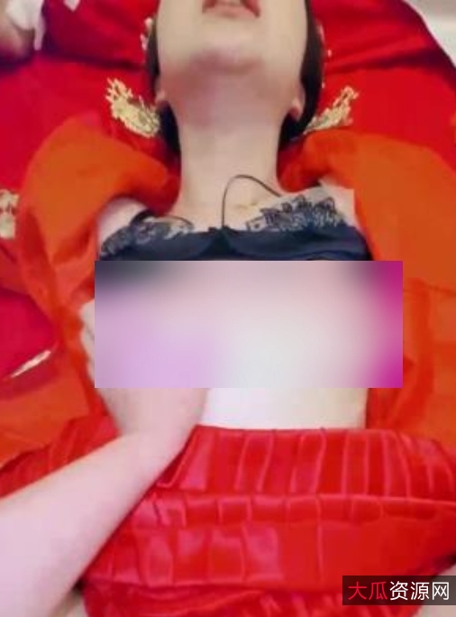 私家温婉姐姐婚前夜独家影像精悍版853MB